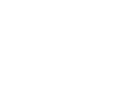 Digitaloffensive Österreich
